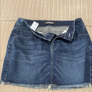Express Blue Pencil Mini Skirt Casual